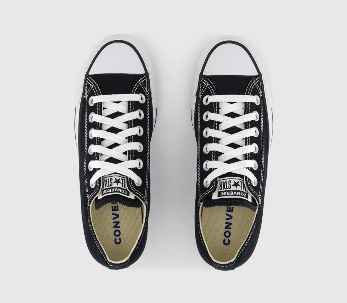 All Star Low Trainers