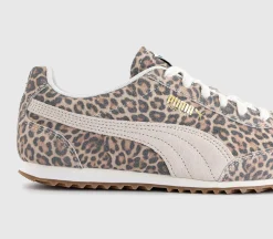 Arizona Trainers