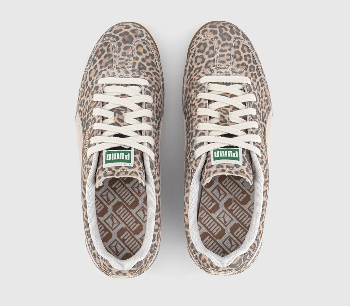 Arizona Trainers