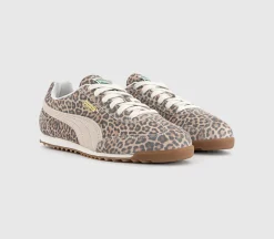 Arizona Trainers