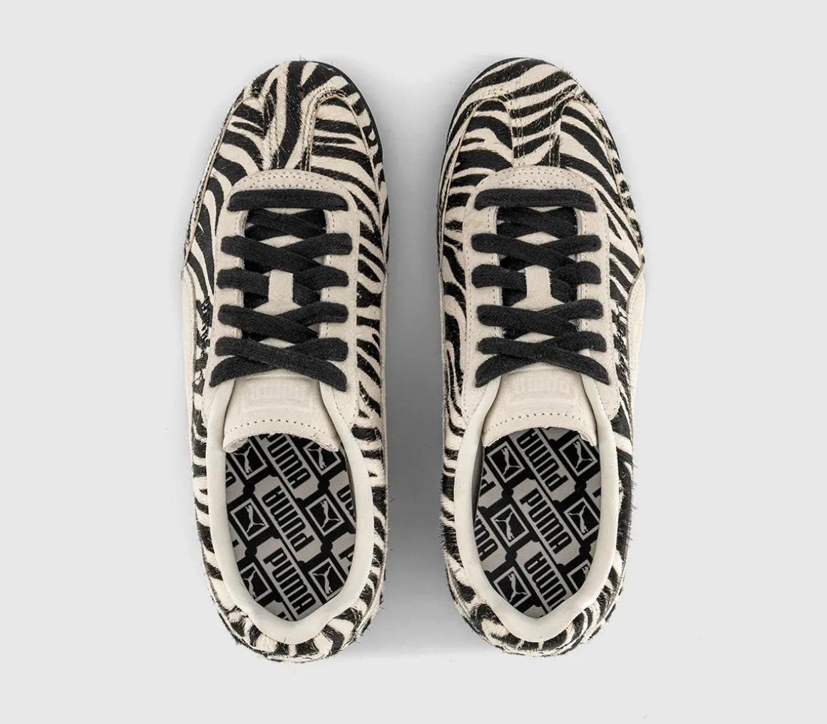 Arizona Trainers