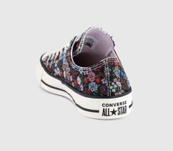 Converse All Star Low Trainers