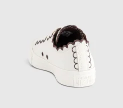 Converse All Star Low Trainers