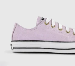 Converse All Star Low Trainers