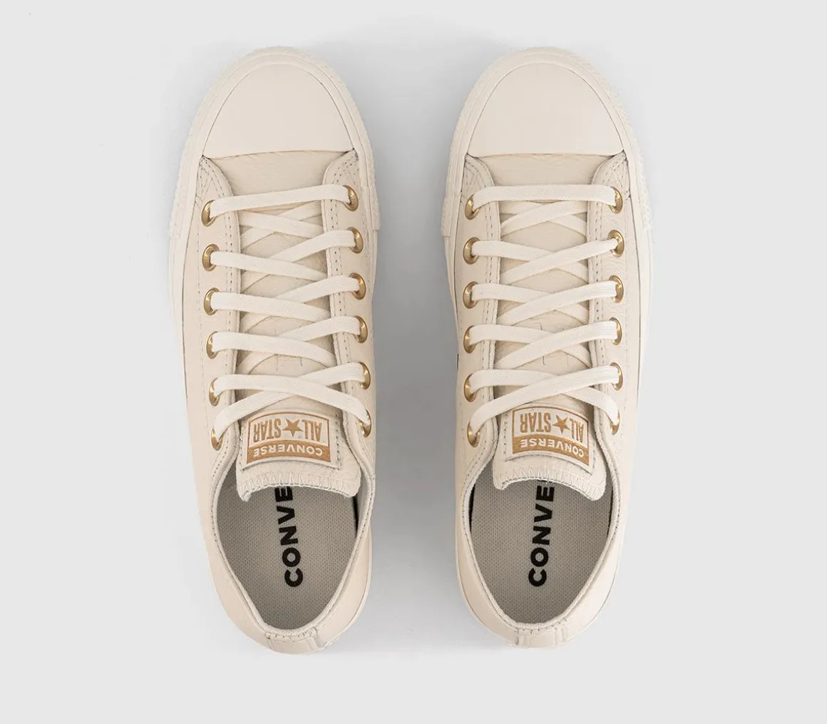 Converse All Star Low Trainers
