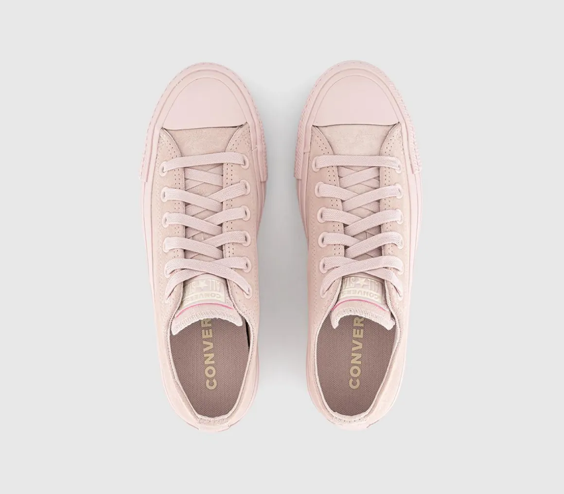 Converse All Star Low Trainers