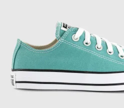 Converse All Star Low Trainers