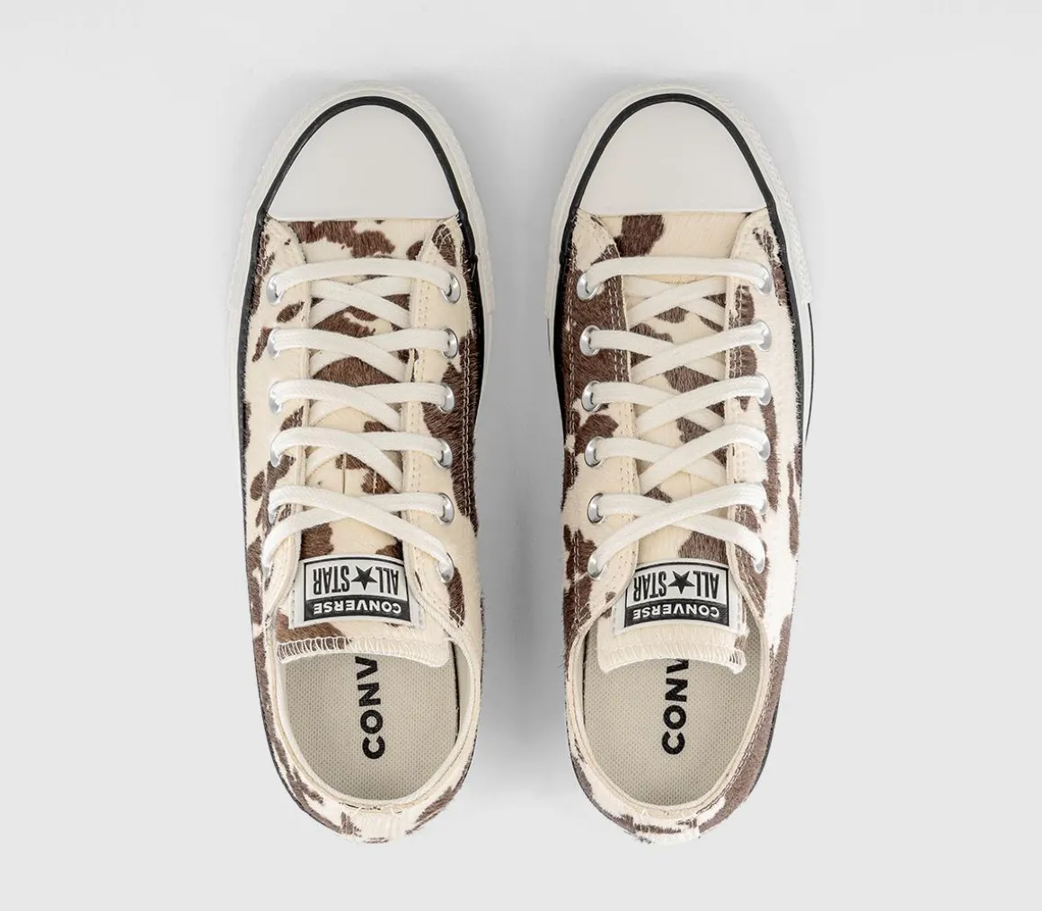 Converse All Star Low Trainers
