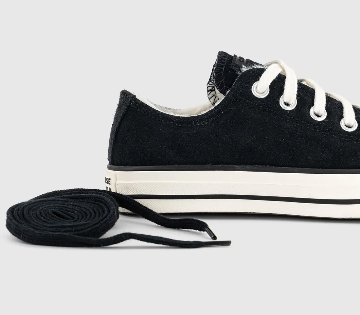 Converse All Star Low Trainers