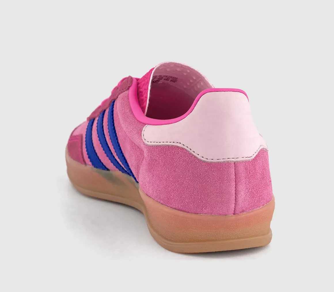 Gazelle Indoor Trainers