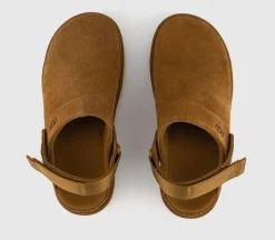 Goldenstar Clogs