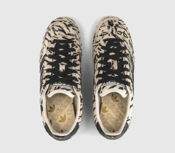 Japan Trainers