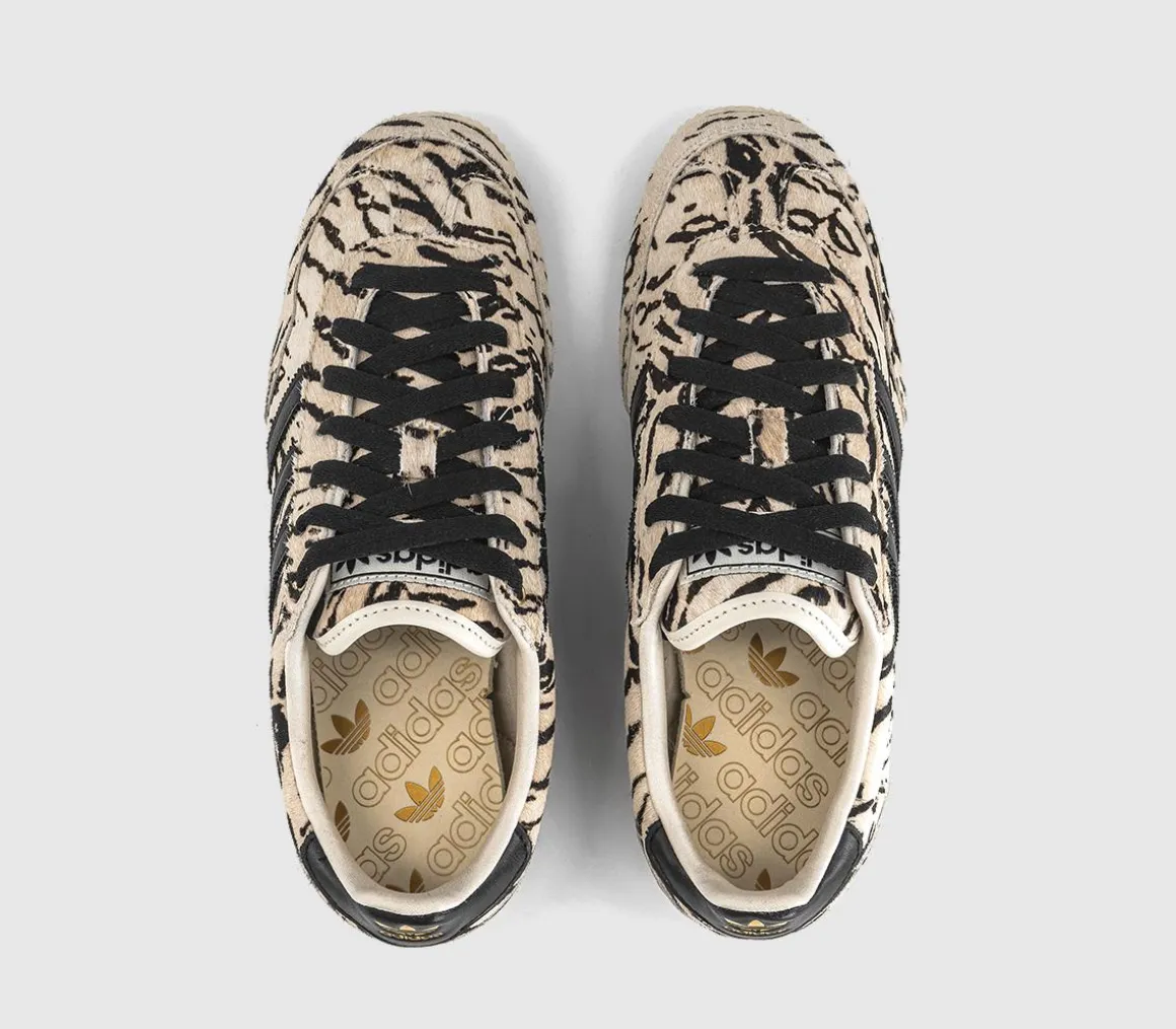 Japan Trainers