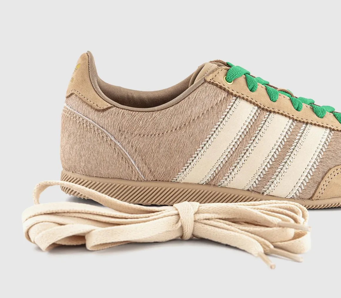 Japan Trainers