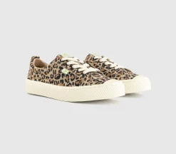 OCA Low