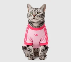 Pet Cali Tee