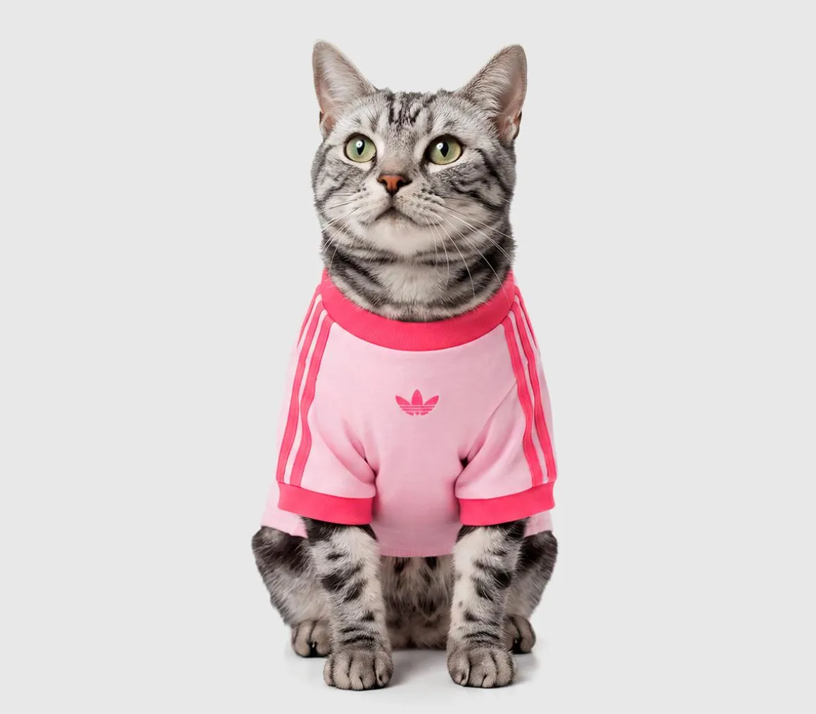 Pet Cali Tee
