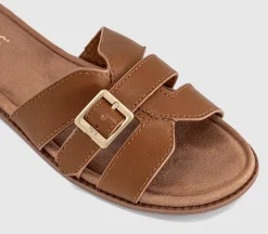 Sol Sliders