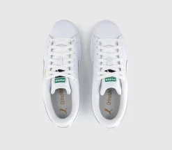 Suede Classic Trainers