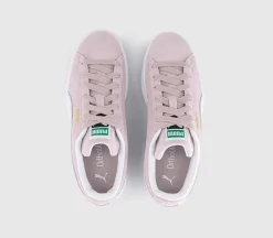 Suede Classic Trainers
