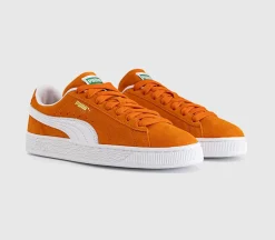 Suede Classic Trainers