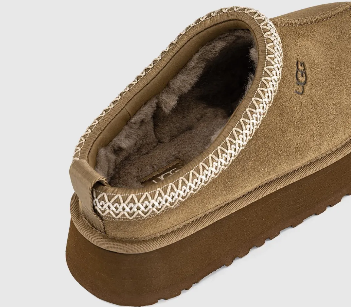 Tazz II Slippers