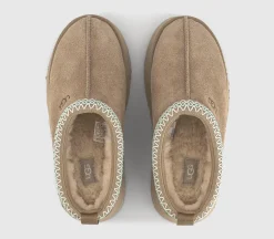 Tazz II Slippers