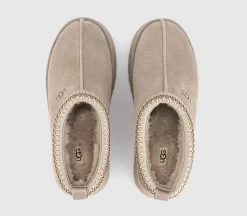 Tazz II Slippers