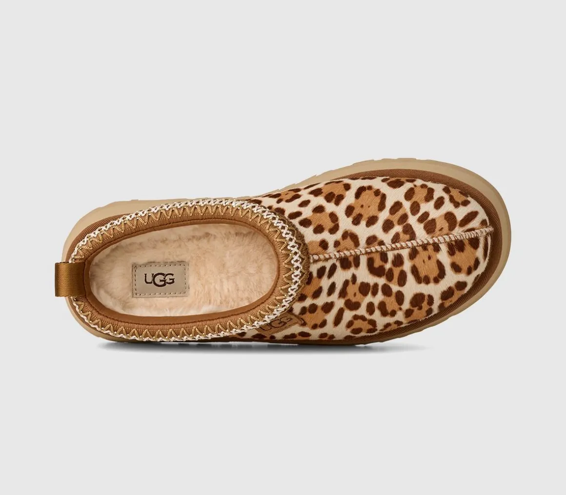 Tazz Plains Slippers