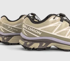 XT-6 GTX Trainers